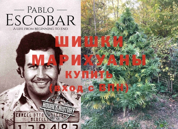 трава Балабаново