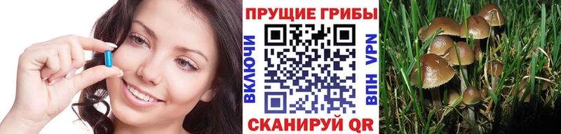 Галлюциногенные грибы Psilocybine cubensis Сегежа